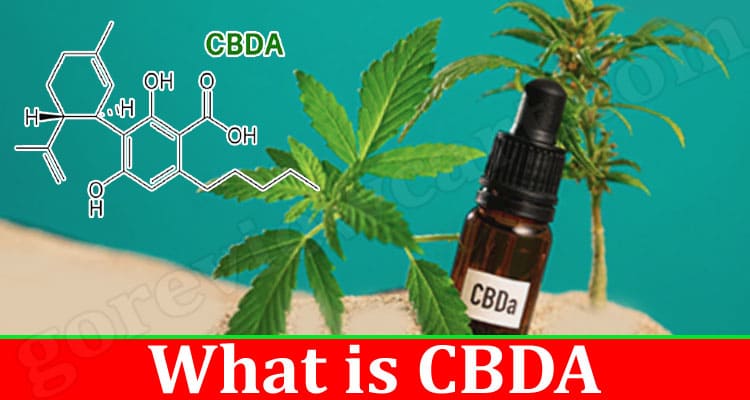 Complete Guide to Information What is CBDA