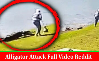 Latest News Alligator Attack Full Video Reddit