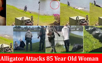 Latest News Alligator Attacks 85 Year Old Woman