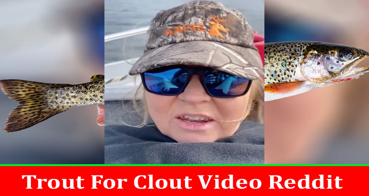 Latest News Trout For Clout Video Reddit