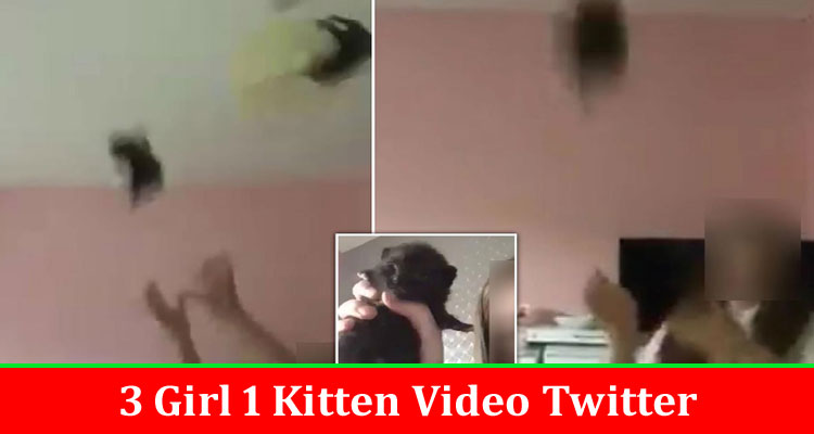 Latest News 3 Girl 1 Kitten Video Twitter