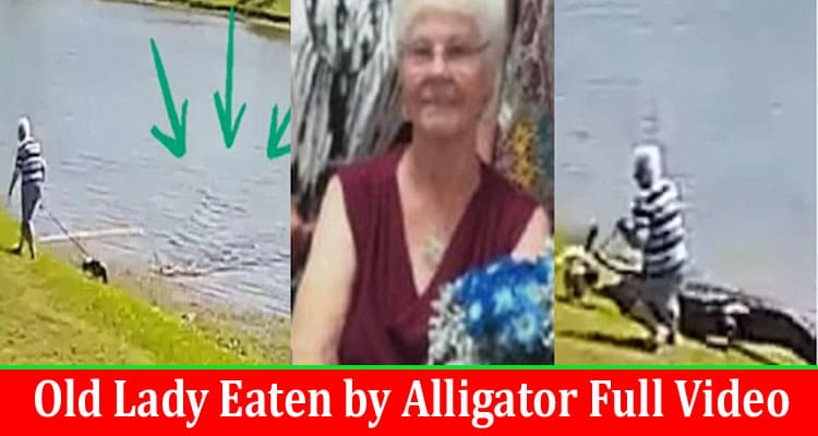 Latest News Old Lady Eaten by Alligator Full Video